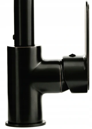 IANTE BLACK (3).png