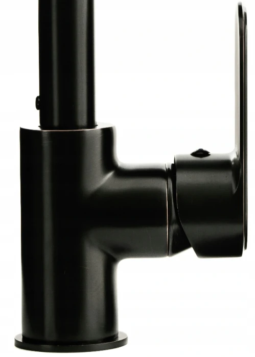 IANTE BLACK (3).png