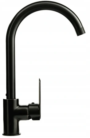 IANTE BLACK (2).png