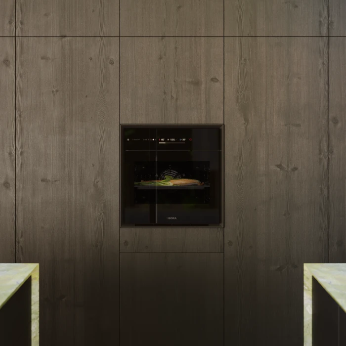 bora_ak10_ovensteam_lachs.6b6277ec.png